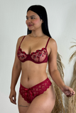 Women's Sexy Lace Knickers with Bow – Sheer Brief Lingerie Underwear