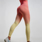 Women’s Fitness Ombre Seamless Yoga Set – Sports Bra & Leggings Gym Wear