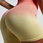 Women’s Fitness Ombre Seamless Yoga Set – Short Sports Bra & Leggings Wear