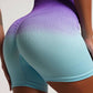 Women’s Fitness Ombre Seamless Yoga Set – Short Sports Bra & Leggings Wear